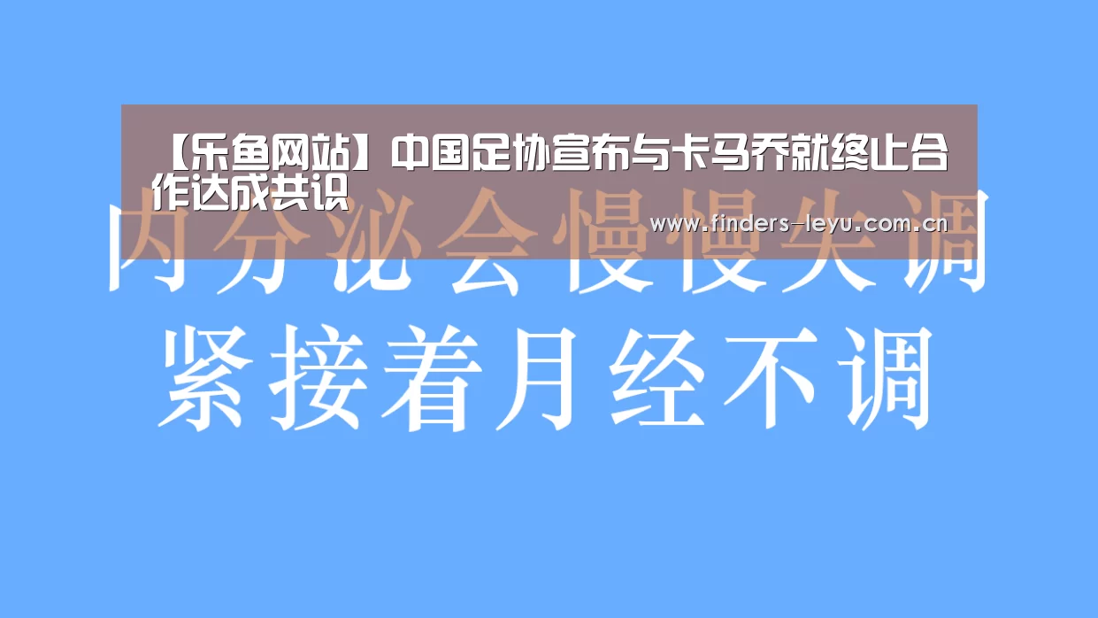 乐鱼网站